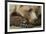 Resting Brown Bear, Katmai National Park, Alaska-null-Framed Photographic Print