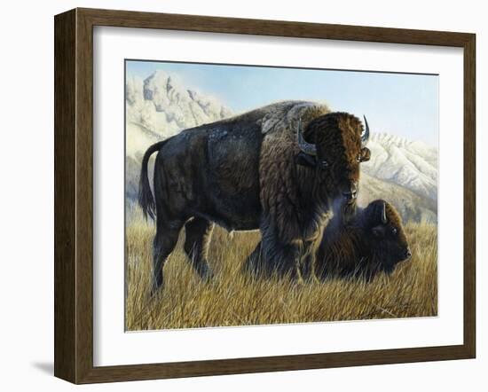 Resting Buffalo-Rusty Frentner-Framed Giclee Print