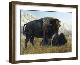 Resting Buffalo-Rusty Frentner-Framed Giclee Print