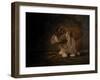 Resting Bunny Rabbit II-Marian Parsons-Framed Art Print