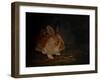 Resting Bunny Rabbit III-Marian Parsons-Framed Art Print