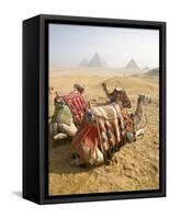 Resting Camels Gaze Across the Desert Sands of Giza, Cairo, Egypt-Dave Bartruff-Framed Stretched Canvas