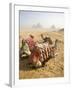 Resting Camels Gaze Across the Desert Sands of Giza, Cairo, Egypt-Dave Bartruff-Framed Photographic Print