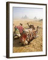 Resting Camels Gaze Across the Desert Sands of Giza, Cairo, Egypt-Dave Bartruff-Framed Photographic Print