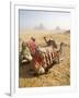 Resting Camels Gaze Across the Desert Sands of Giza, Cairo, Egypt-Dave Bartruff-Framed Photographic Print