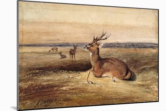 Resting Deer-Antoine Louis Barye-Mounted Giclee Print