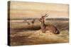 Resting Deer-Antoine Louis Barye-Stretched Canvas