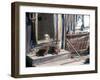 Resting Dog in Yanrakinnot, Providenia District-Daisy Gilardini-Framed Photographic Print