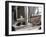 Resting Dog in Yanrakinnot, Providenia District-Daisy Gilardini-Framed Photographic Print