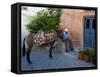 Resting Elderly Gentleman, Oia, Santorini, Greece-Darrell Gulin-Framed Stretched Canvas