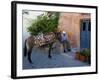 Resting Elderly Gentleman, Oia, Santorini, Greece-Darrell Gulin-Framed Photographic Print