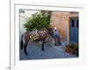 Resting Elderly Gentleman, Oia, Santorini, Greece-Darrell Gulin-Framed Photographic Print