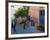 Resting Elderly Gentleman, Oia, Santorini, Greece-Darrell Gulin-Framed Photographic Print