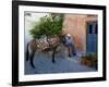 Resting Elderly Gentleman, Oia, Santorini, Greece-Darrell Gulin-Framed Photographic Print