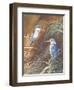 Resting Fishers-Trevor V. Swanson-Framed Giclee Print