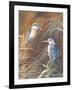 Resting Fishers-Trevor V. Swanson-Framed Giclee Print