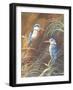 Resting Fishers-Trevor V. Swanson-Framed Giclee Print