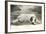 Resting Great Pyrenees-null-Framed Art Print