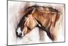 Resting Horse, 2013-Mark Adlington-Mounted Giclee Print