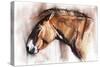 Resting Horse, 2013-Mark Adlington-Stretched Canvas