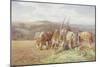 Resting in the Field-Charles James Adams-Mounted Giclee Print