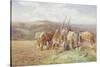 Resting in the Field-Charles James Adams-Stretched Canvas