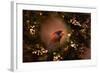 Resting in the Wreath-Jai Johnson-Framed Giclee Print