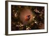 Resting in the Wreath-Jai Johnson-Framed Giclee Print