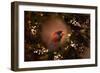 Resting in the Wreath-Jai Johnson-Framed Giclee Print