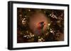 Resting in the Wreath-Jai Johnson-Framed Giclee Print