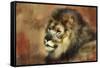 Resting King-Jai Johnson-Framed Stretched Canvas