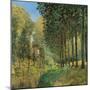 Resting on the Shore of the Brook-Alfred Sisley-Mounted Giclee Print