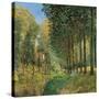 Resting on the Shore of the Brook-Alfred Sisley-Stretched Canvas