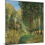 Resting on the Shore of the Brook-Alfred Sisley-Mounted Giclee Print