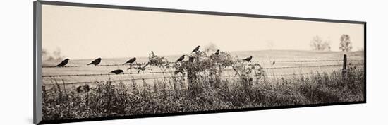 Resting Place I-Trent Foltz-Mounted Giclee Print