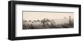 Resting Place I-Trent Foltz-Framed Art Print