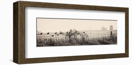 Resting Place I-Trent Foltz-Framed Art Print