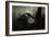 Resting Siamang Ape-Jai Johnson-Framed Giclee Print