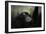 Resting Siamang Ape-Jai Johnson-Framed Giclee Print