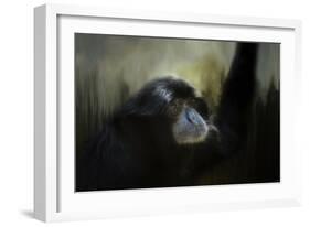 Resting Siamang Ape-Jai Johnson-Framed Giclee Print