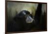 Resting Siamang Ape-Jai Johnson-Framed Giclee Print