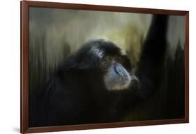 Resting Siamang Ape-Jai Johnson-Framed Giclee Print