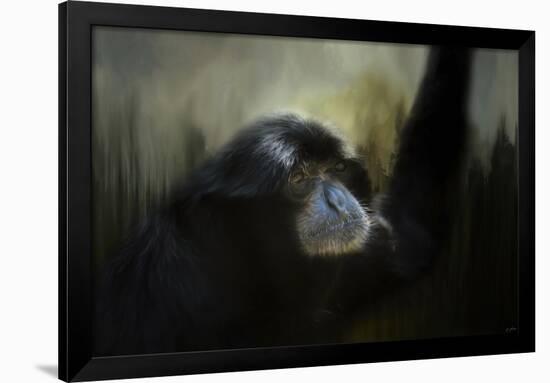 Resting Siamang Ape-Jai Johnson-Framed Giclee Print