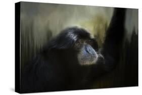 Resting Siamang Ape-Jai Johnson-Stretched Canvas