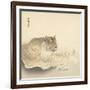 Resting Tiger and Matsuki Heikichi, C. 1900-30-Ohara Koson-Framed Art Print