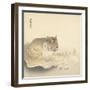 Resting Tiger and Matsuki Heikichi, C. 1900-30-Ohara Koson-Framed Art Print