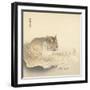 Resting Tiger and Matsuki Heikichi, C. 1900-30-Ohara Koson-Framed Art Print