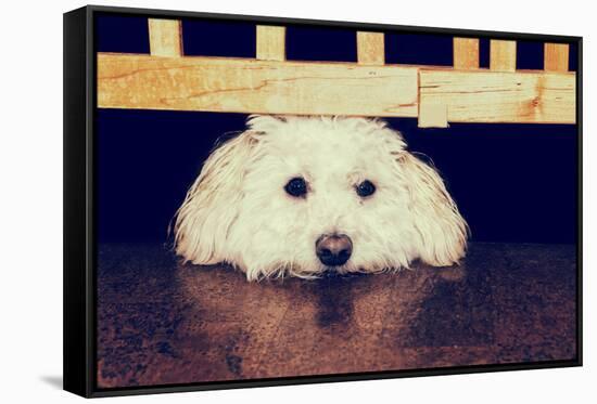 Resting under the Gate - Retro-SHS Photography-Framed Stretched Canvas