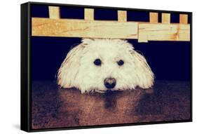 Resting under the Gate - Retro-SHS Photography-Framed Stretched Canvas