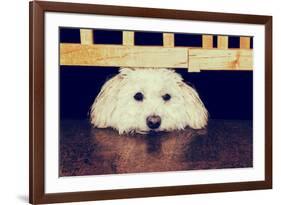 Resting under the Gate - Retro-SHS Photography-Framed Photographic Print